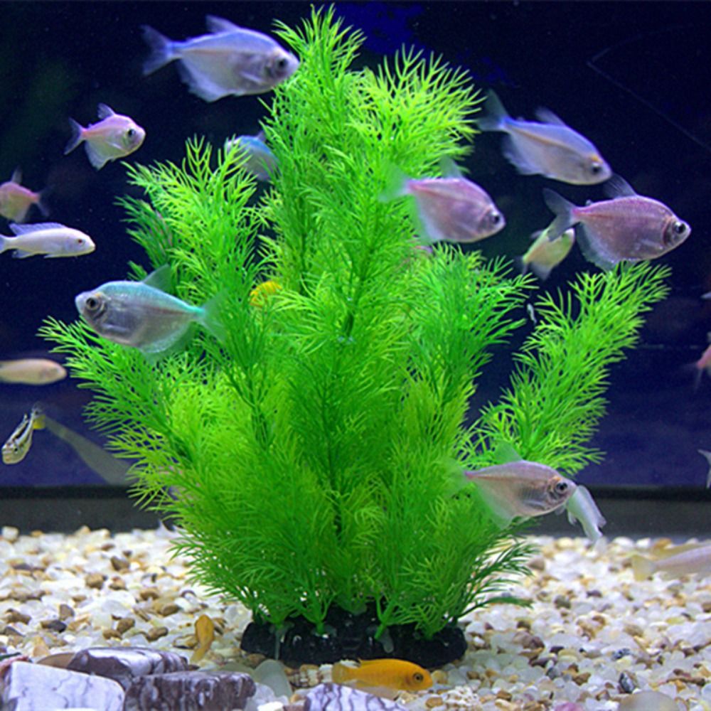 Aquarium Plant Seeds - Aquarium Plants Ornaments Plastic Simulation Artificial