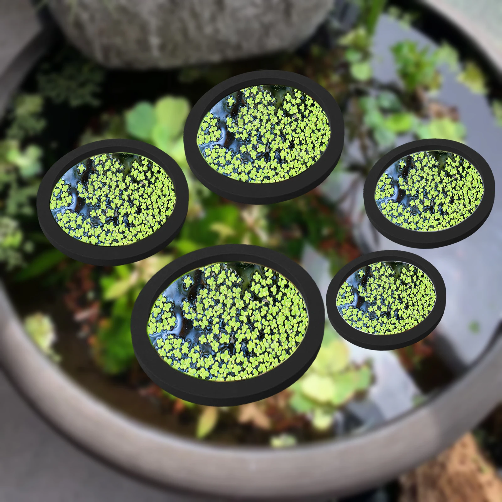 Aquarium Planting Ideas - 5Pcs EVA Fish Feeding Ring Aquarium