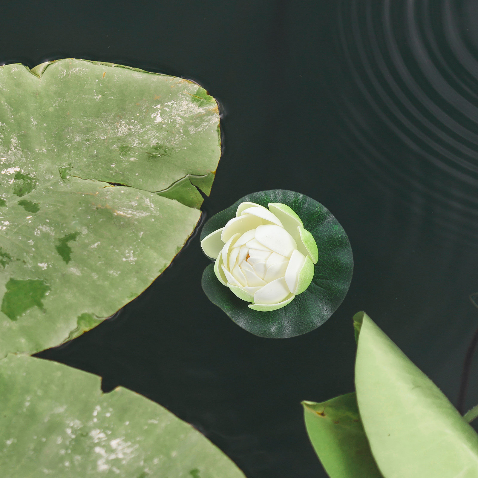 Aquarium Planting - 5Pcs Artificial Floating Water Lily Simulation