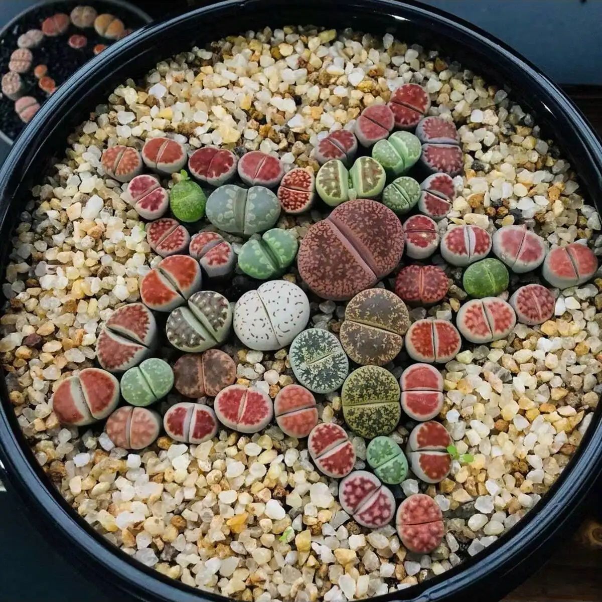 1pc-250g Natural Crystals Grav - Aquarium Planted Sand avaliação e preço