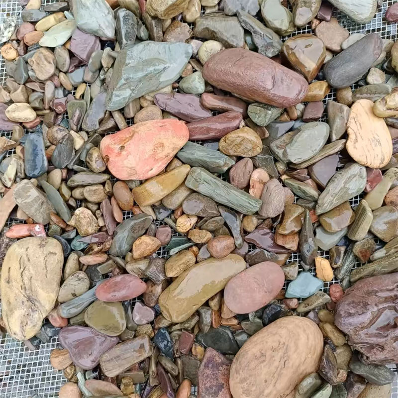 500g Fish Tank Bottom Sand Sto - Aquarium Planted Sand avaliação e preço