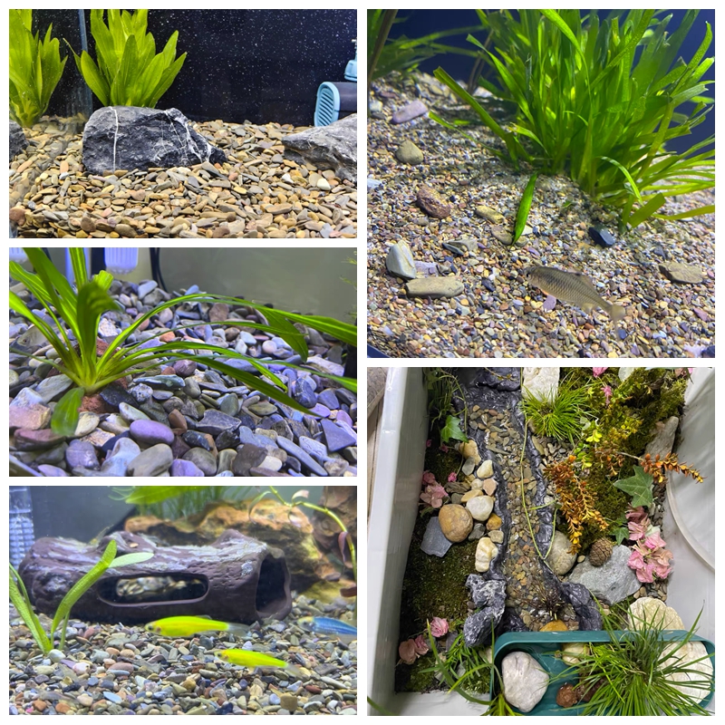 500g Fish Tank Bottom Sand Sto - Aquarium Planted Sand avaliação e preço