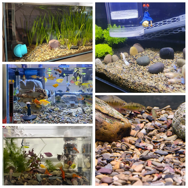 500g Fish Tank Bottom Sand Sto - Aquarium Planted Sand avaliação e preço