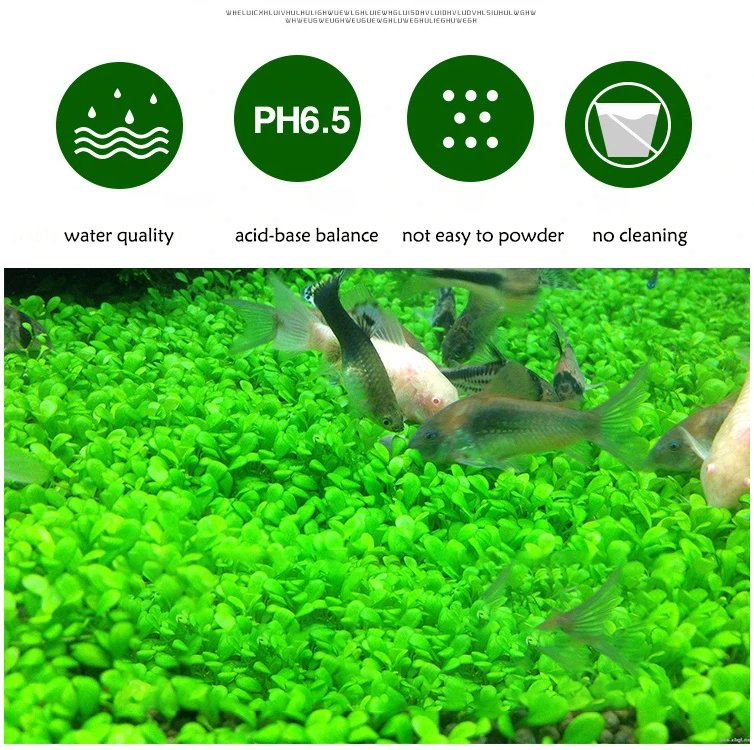 Fish Tank Water Grass Mud Plan - Aquarium Planted Sand avaliação e preço