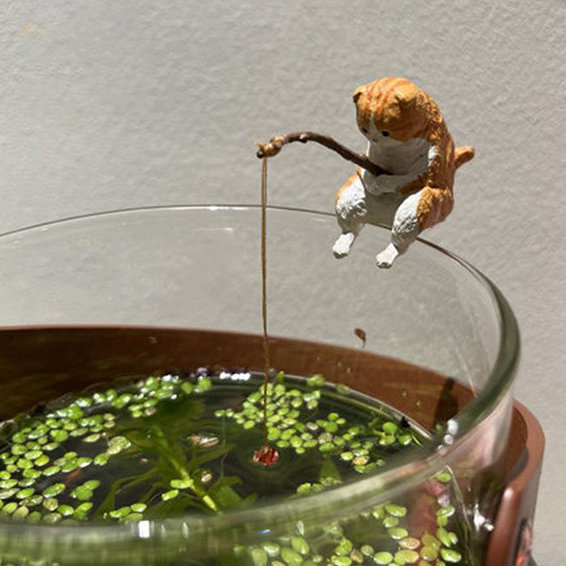1Pc Creative Fishing Cat Fish  - Aquarium Planting Ideas avaliação e preço