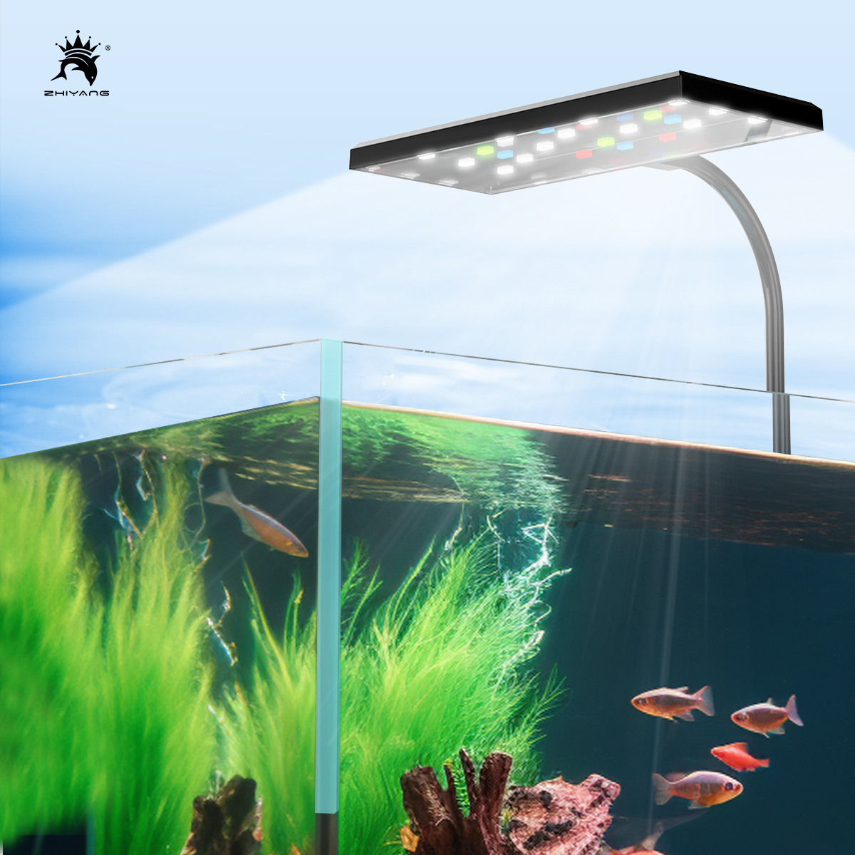 110-240V Aquarium Fish Tank Ba - Aquarium Plant Seeds avaliação e preço