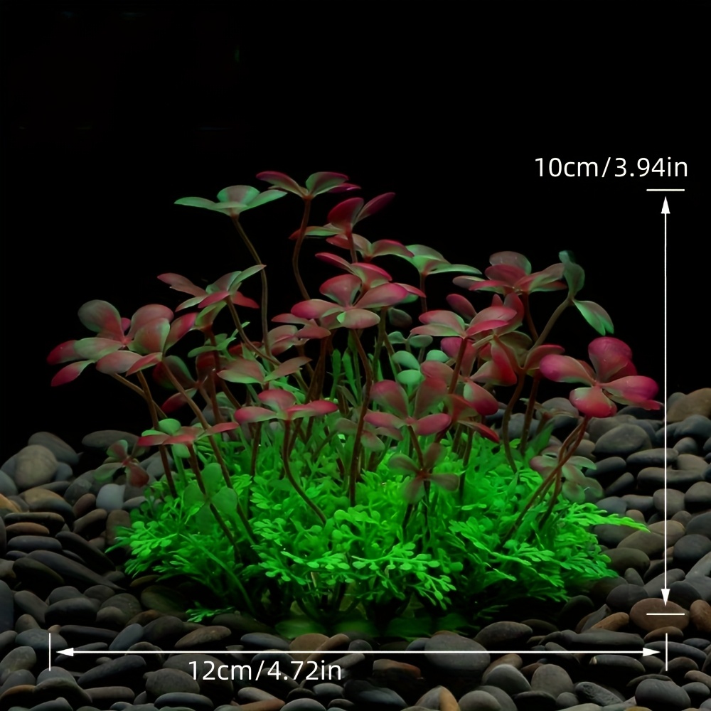 Aquarium Fish Tank Decoration  - Aquarium Plant Seeds avaliação e preço
