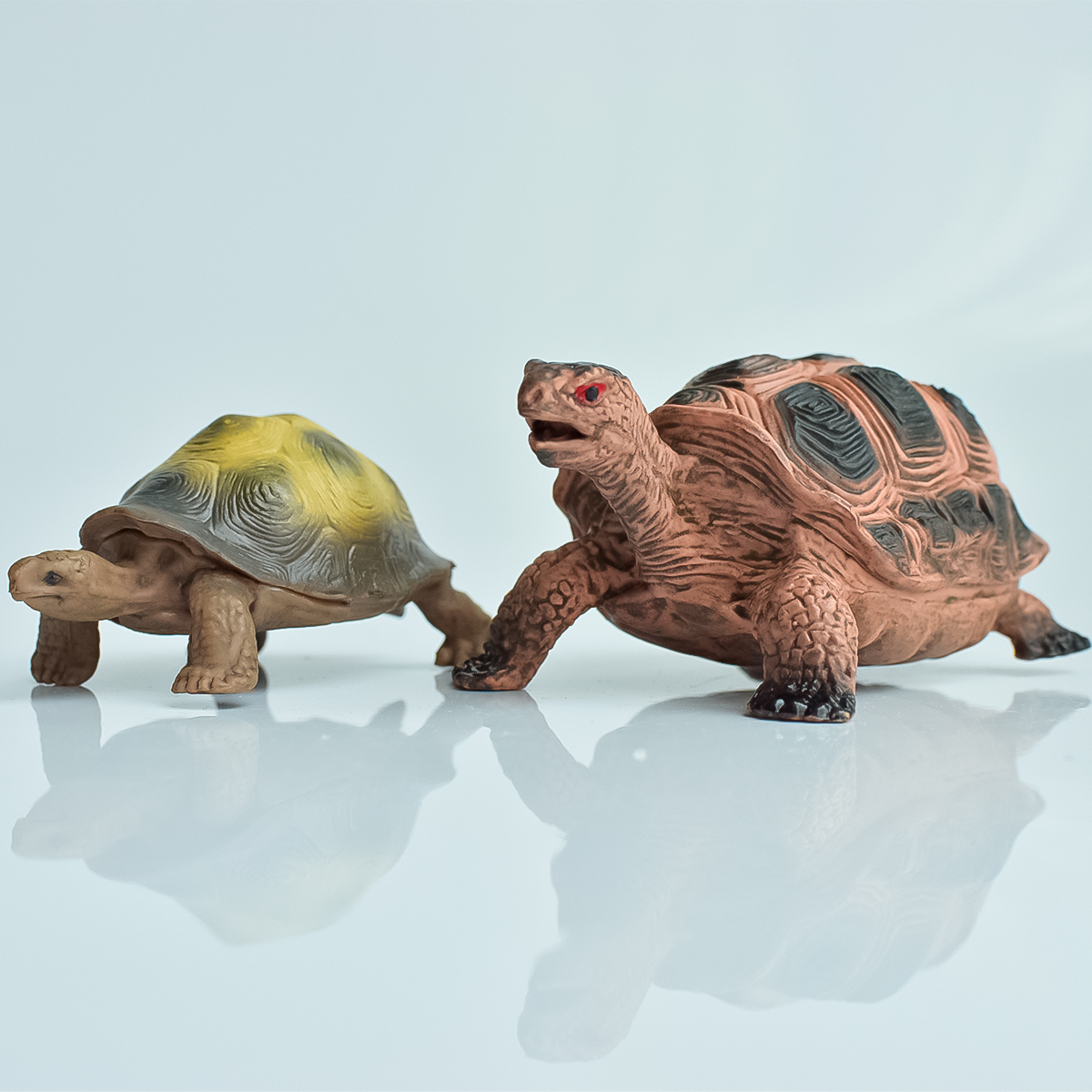 Painted Realistic Animal Turtl - Aquarium Planting avaliação e preço