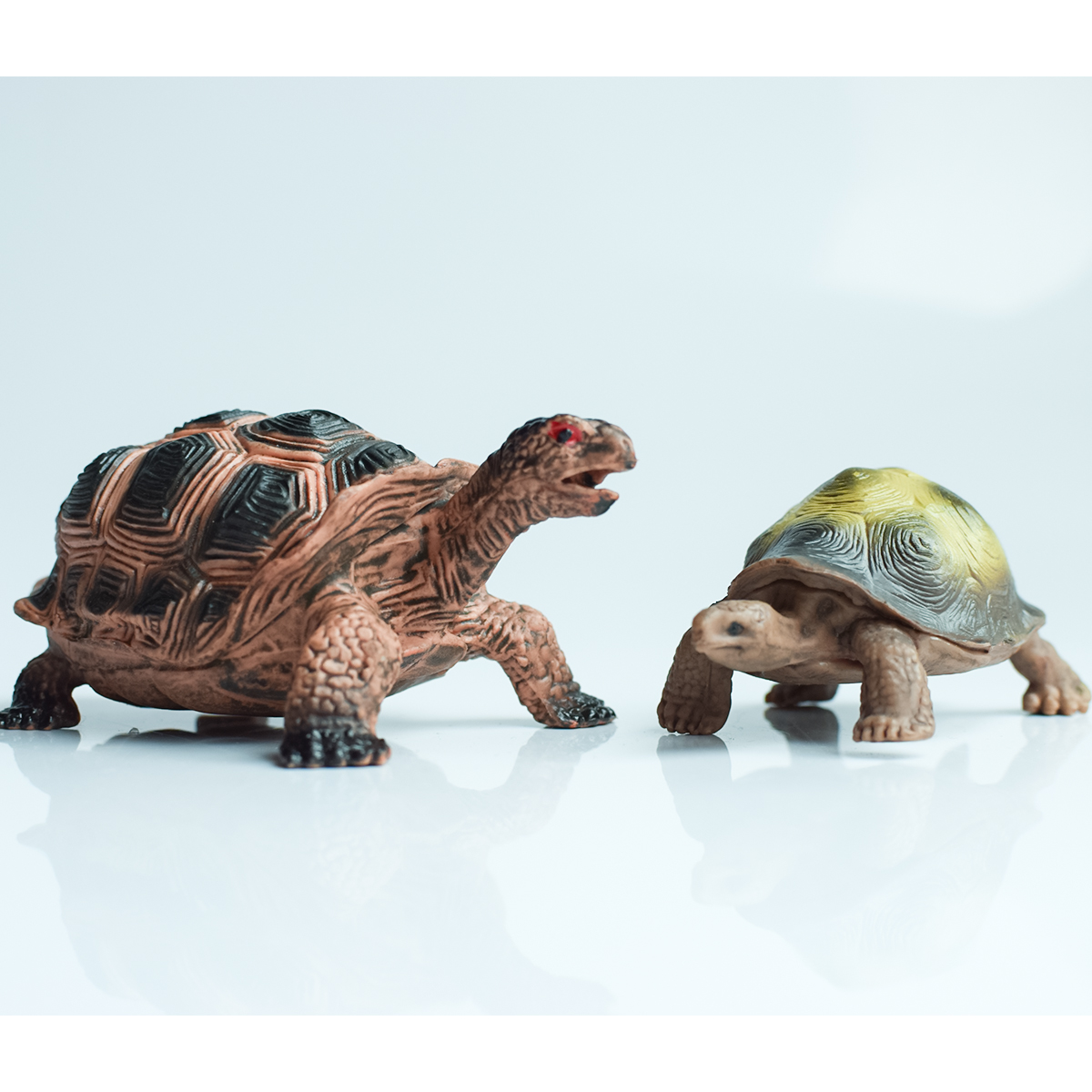 Painted Realistic Animal Turtl - Aquarium Planting avaliação e preço