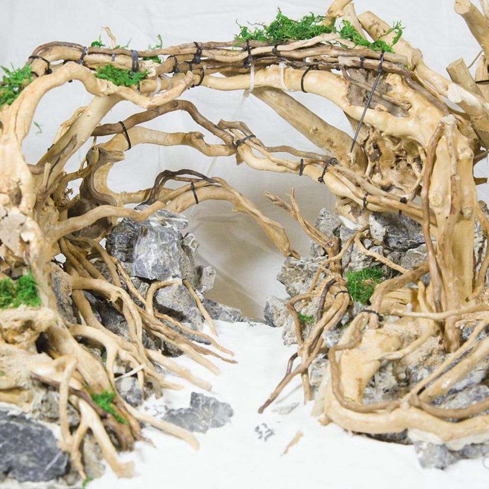 N1N Wood Reptile Tank Backgrou - Planted Aquarium With Driftwood avaliação e preço