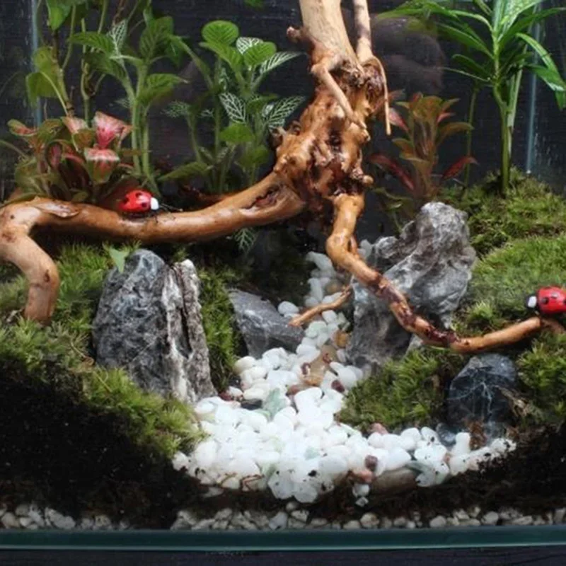 Natural Tree Trunk Driftwood A - Planted Aquarium With Driftwood avaliação e preço