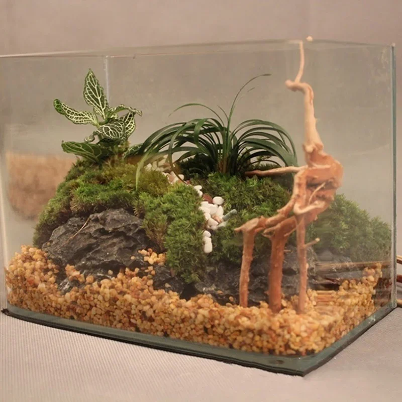 Natural Tree Trunk Driftwood A - Planted Aquarium With Driftwood avaliação e preço