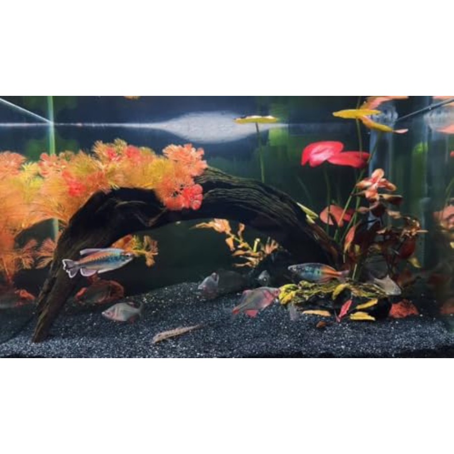 Aquarium Sand, 0 Fish Tank San - Aquarium Planted Sand avaliação e preço
