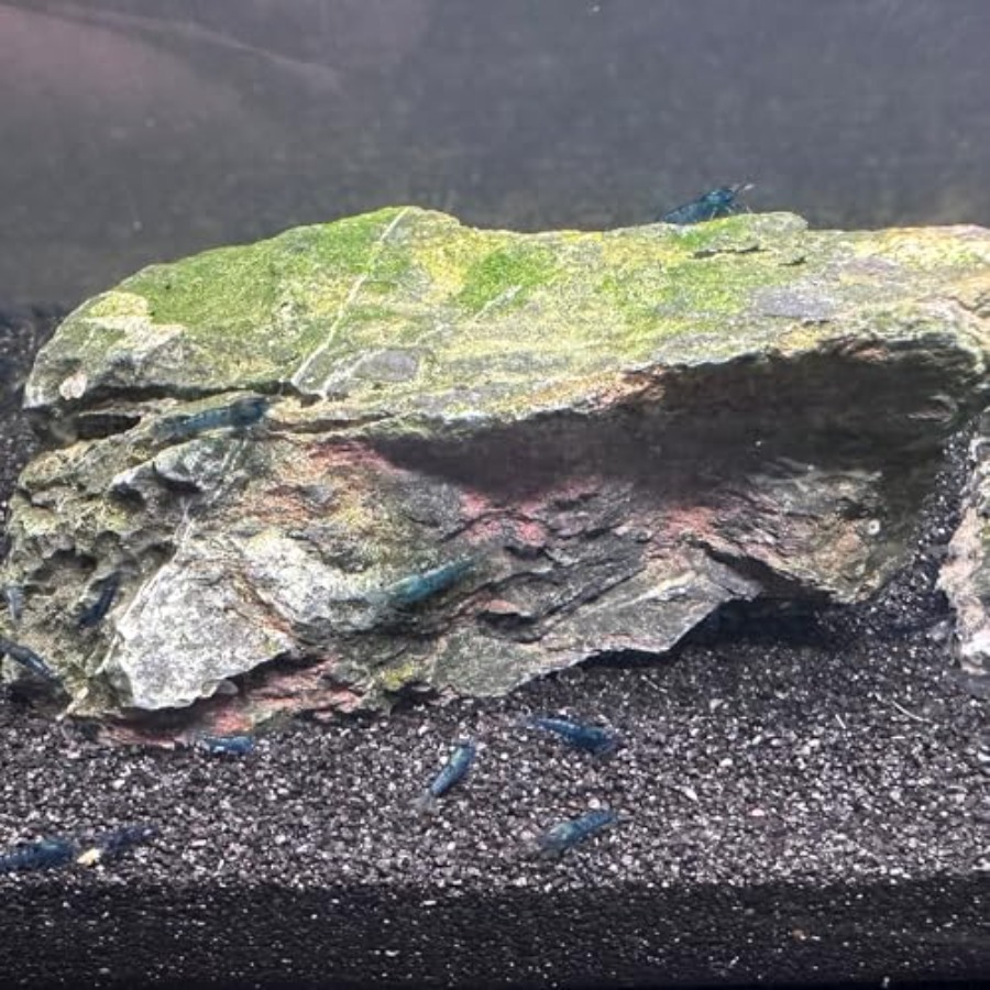 Aquarium Sand, 0 Fish Tank San - Aquarium Planted Sand avaliação e preço
