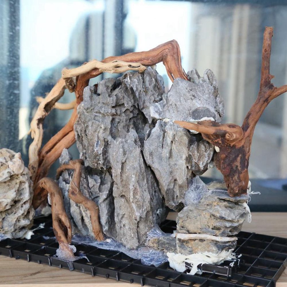 Wood N1N Reptile Tank Backgrou - Planted Aquarium With Driftwood avaliação e preço