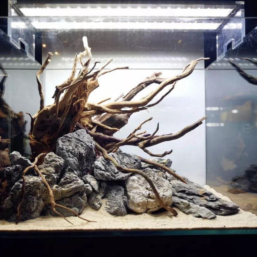Wood N1N Reptile Tank Backgrou - Planted Aquarium With Driftwood avaliação e preço