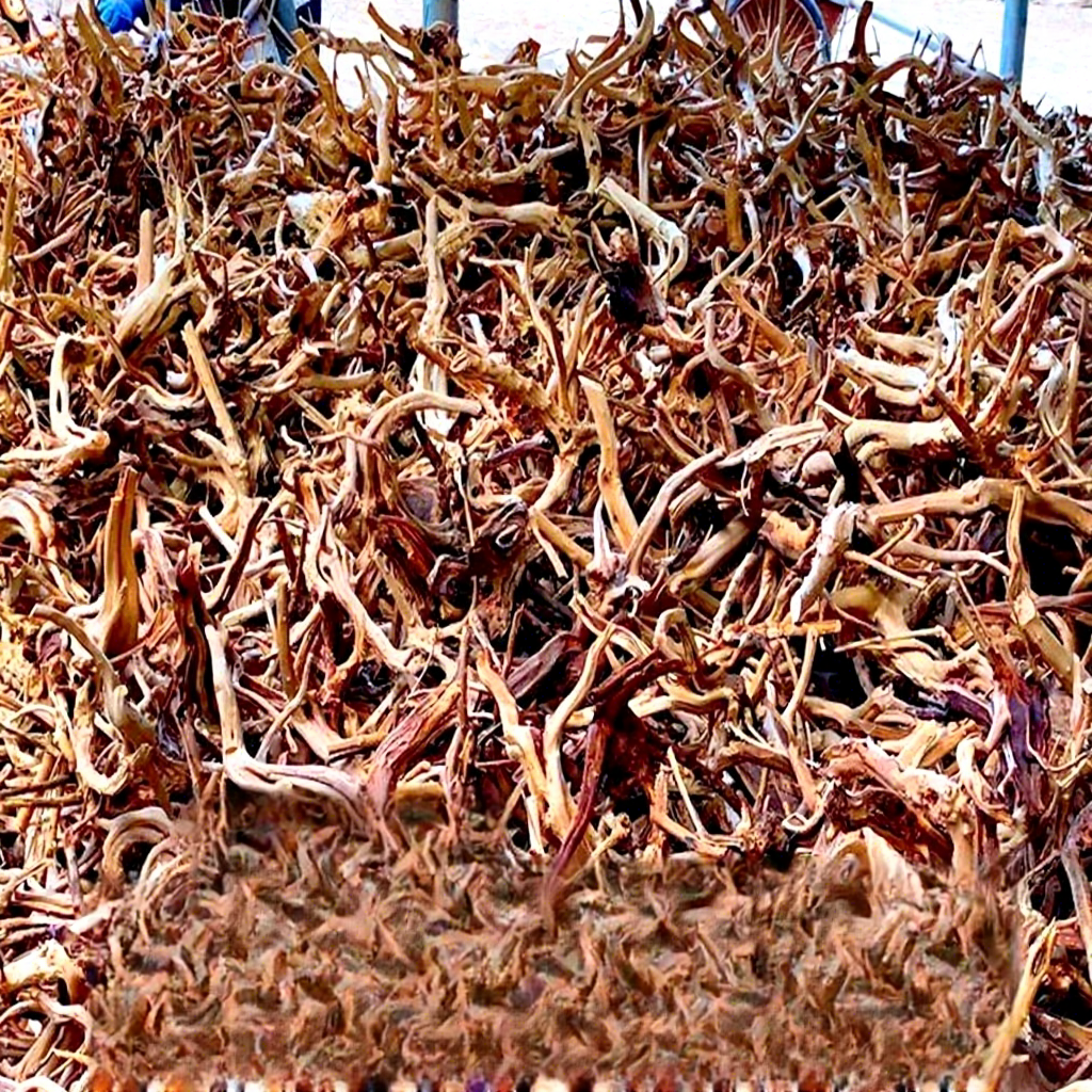 Natural Driftwood Branches For - Planted Aquarium With Driftwood avaliação e preço