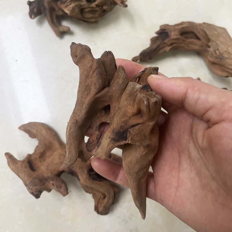 1PC Natural Aquarium Sinkable  - Planted Aquarium With Driftwood avaliação e preço