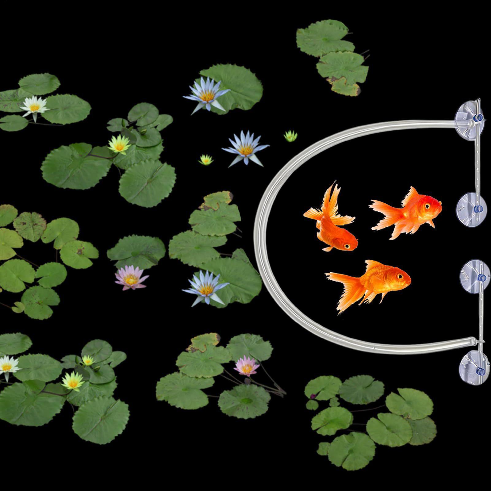 Floating Plant Corral Auto Hei - Planted Aquarium Tank Kit avaliação e preço