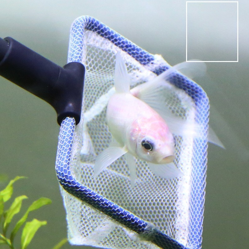 Aquarium Cleaning Tool Set Mul - Aquarium Planted Sand avaliação e preço