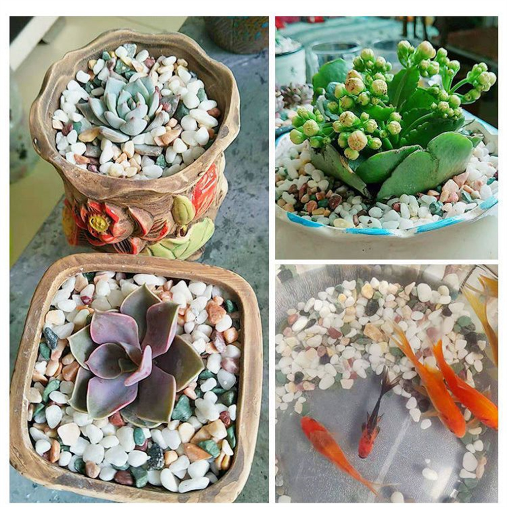 50/100g Natural Crystals Grave - Aquarium Planted Sand avaliação e preço