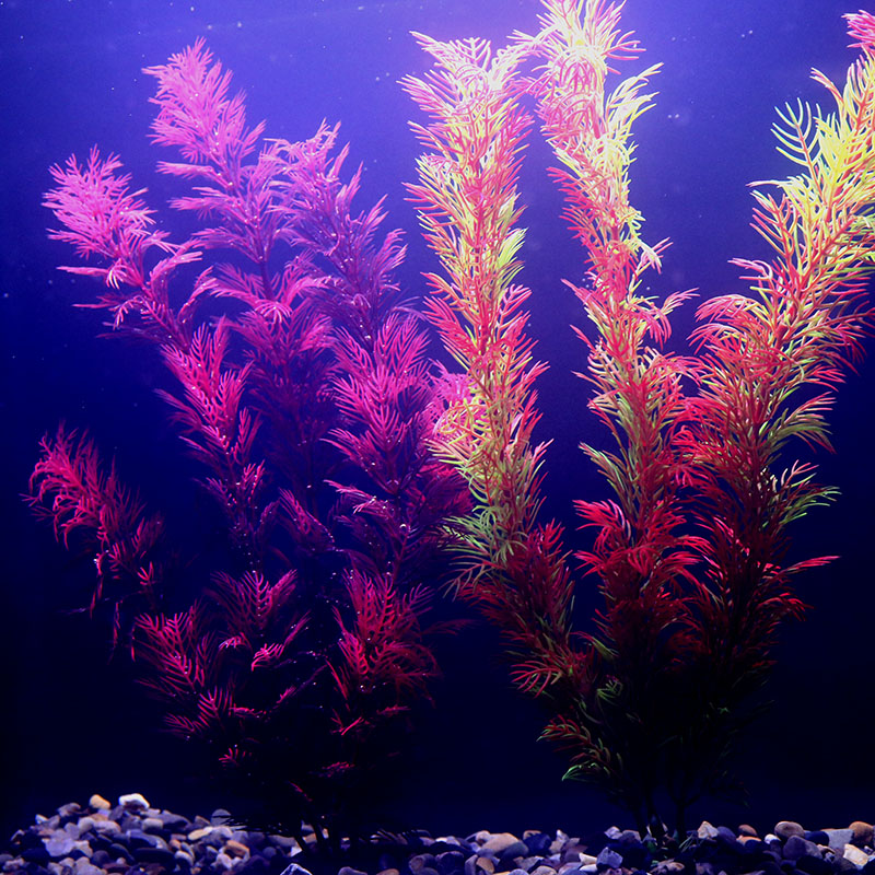 Artificial Aquarium Decor Plan - Aquarium Plant Seeds avaliação e preço