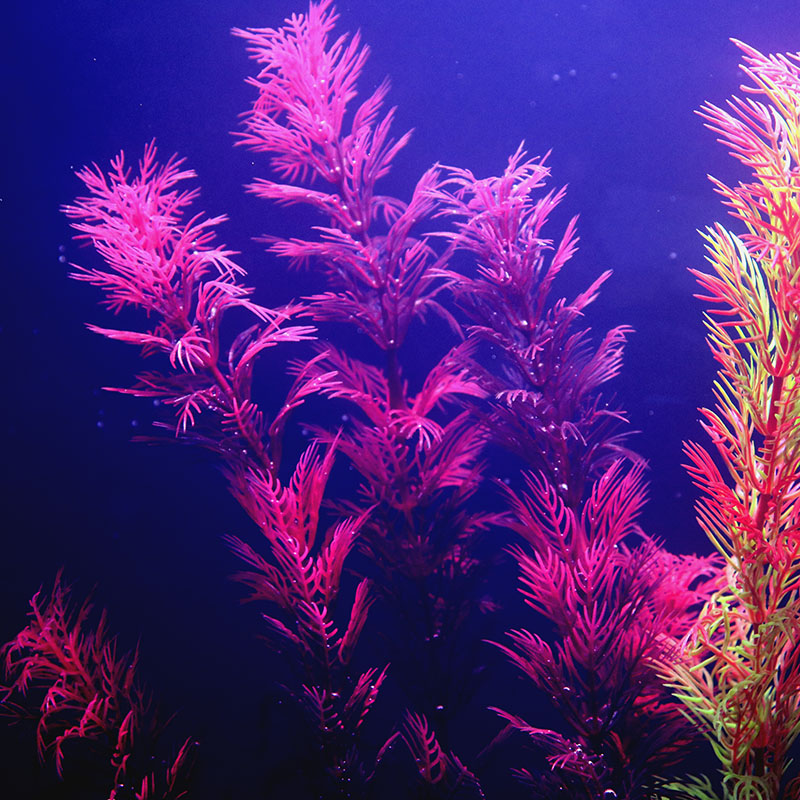 Artificial Aquarium Decor Plan - Aquarium Plant Seeds avaliação e preço