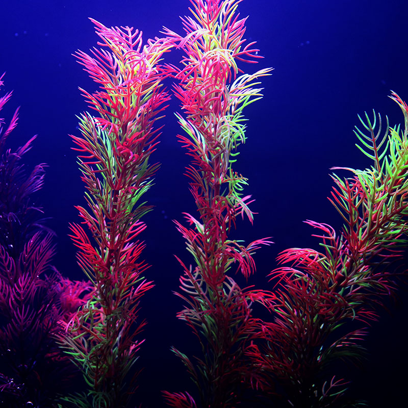 Artificial Aquarium Decor Plan - Aquarium Plant Seeds avaliação e preço