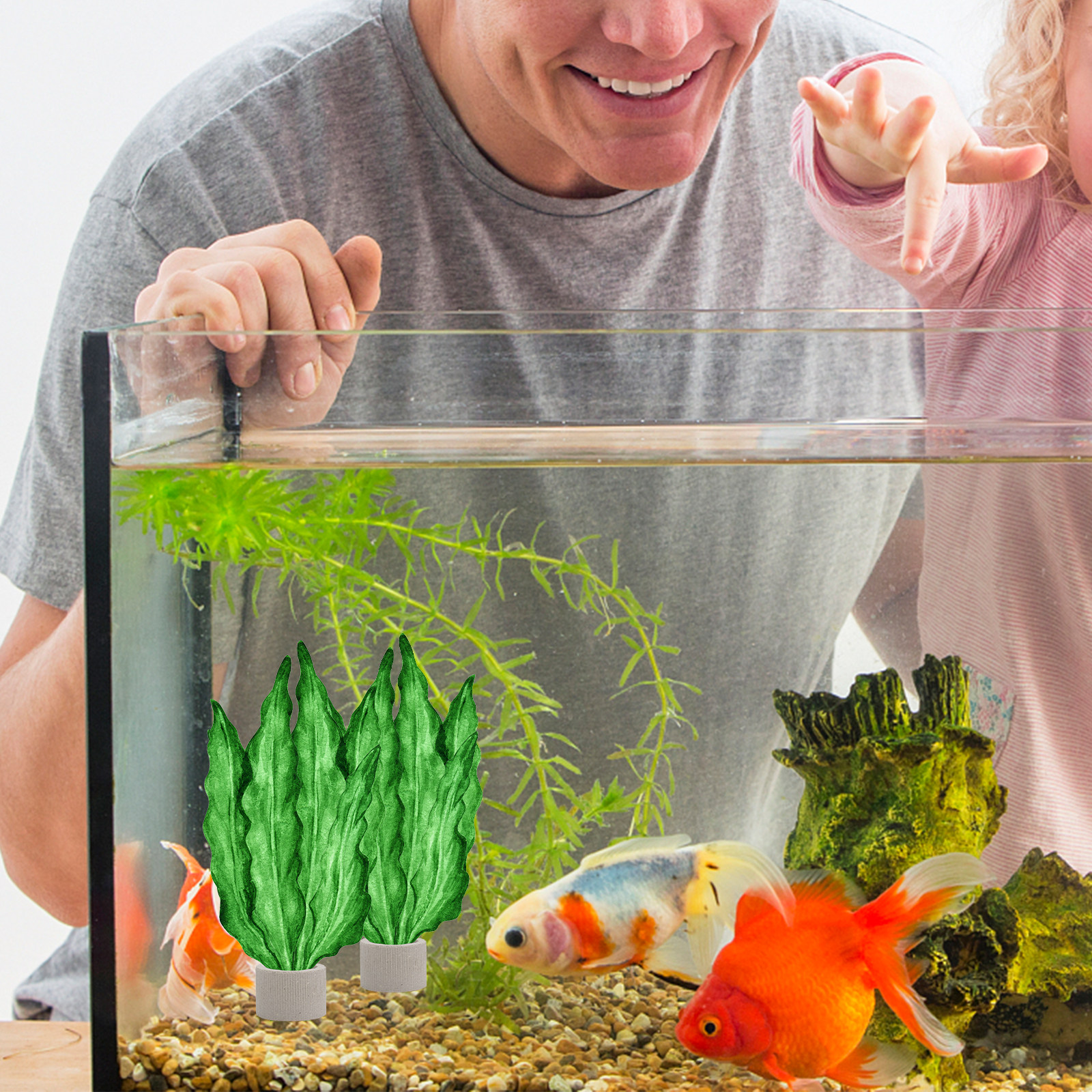 5Pcs Premium Pottery Water Pla - Aquarium Planting avaliação e preço