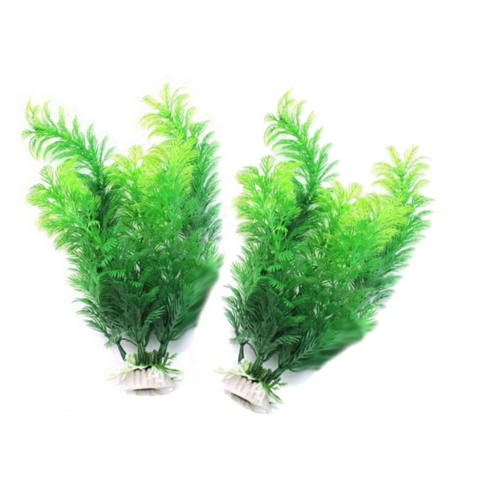 Aquarium Plants Ornaments Plas - Aquarium Plant Seeds avaliação e preço