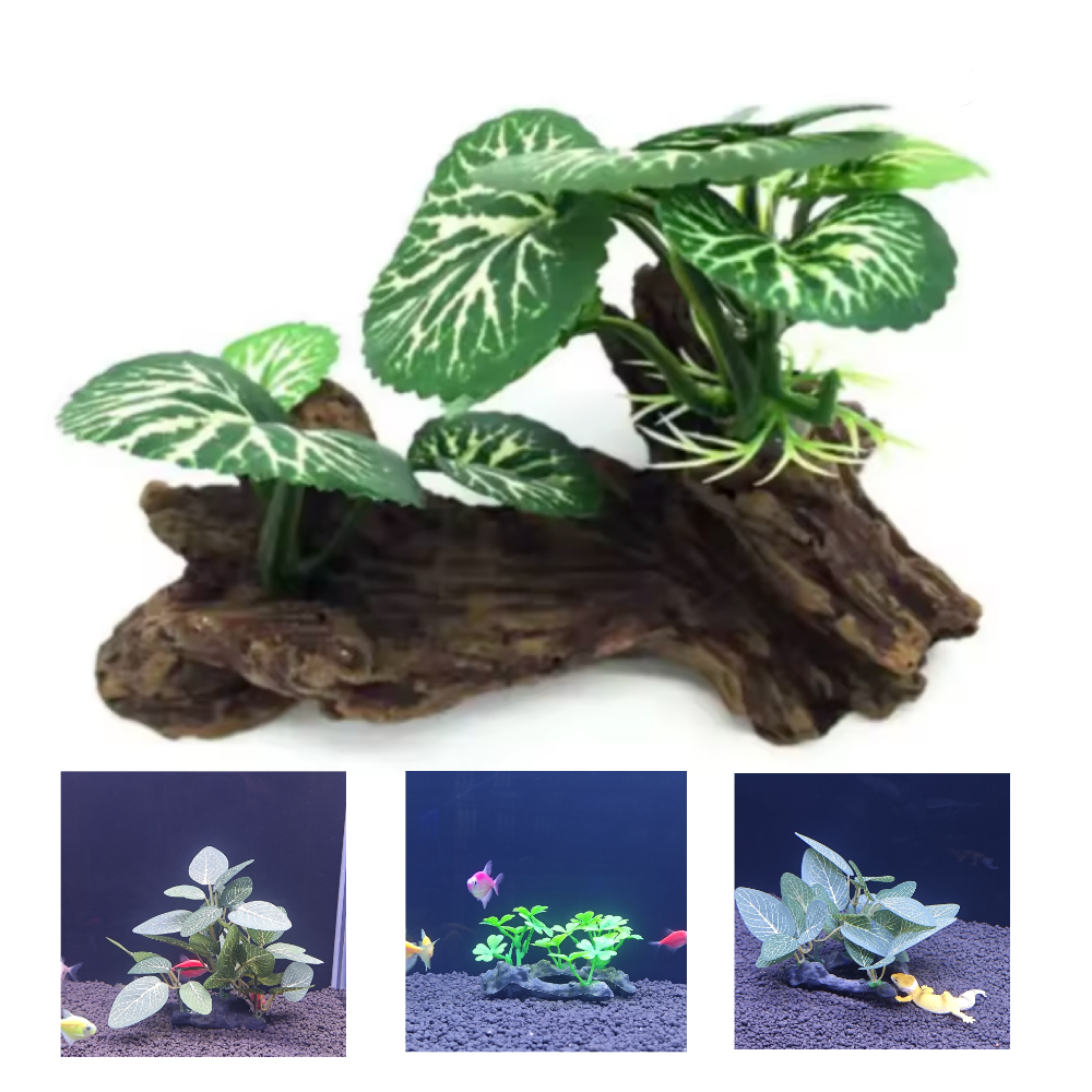 Aquarium simulation plant Plas - Aquarium Plant Seeds avaliação e preço