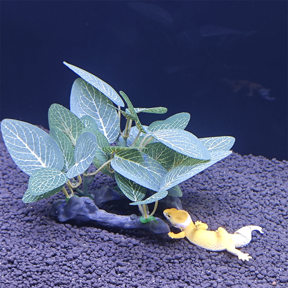 Aquarium simulation plant Plas - Aquarium Plant Seeds avaliação e preço