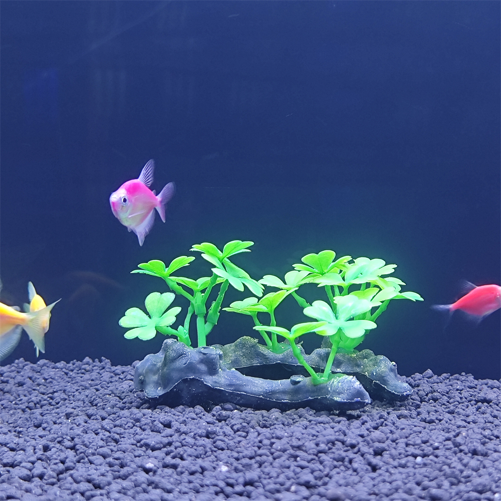 Aquarium simulation plant Plas - Aquarium Plant Seeds avaliação e preço