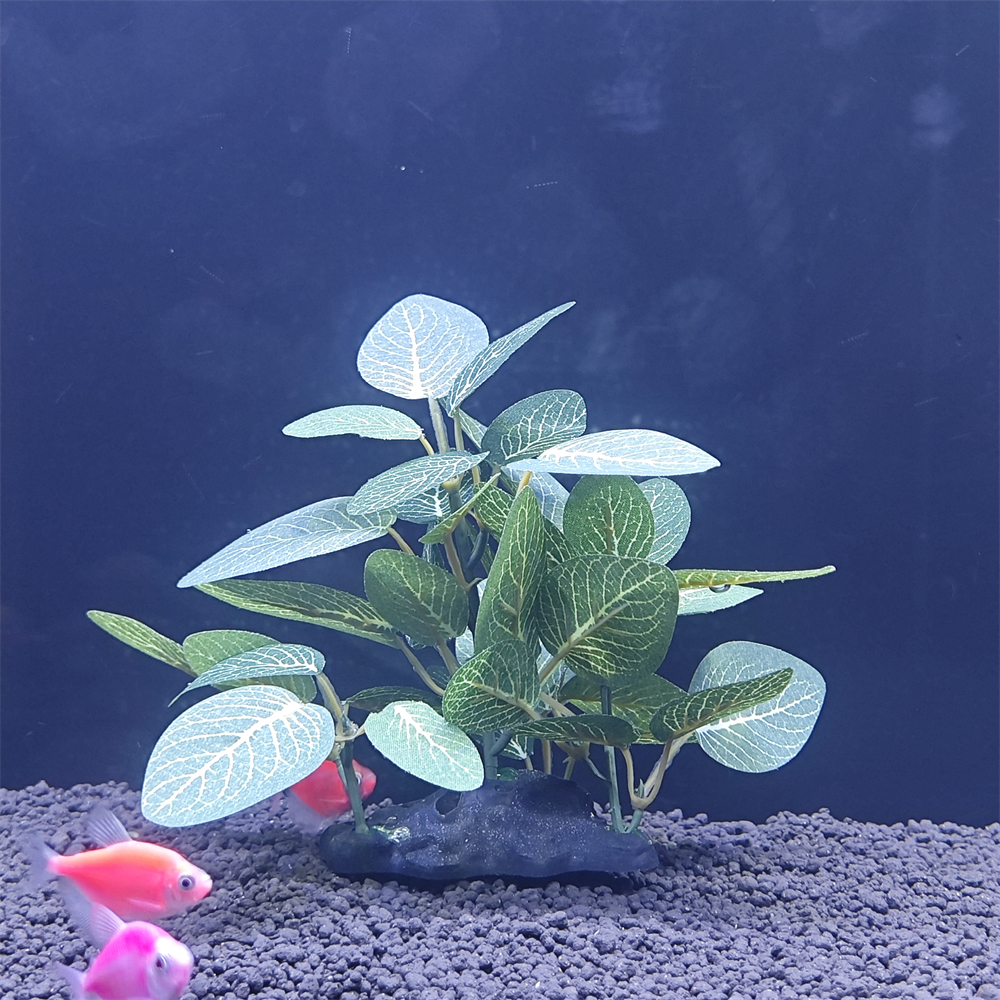 Aquarium simulation plant Plas - Aquarium Plant Seeds avaliação e preço