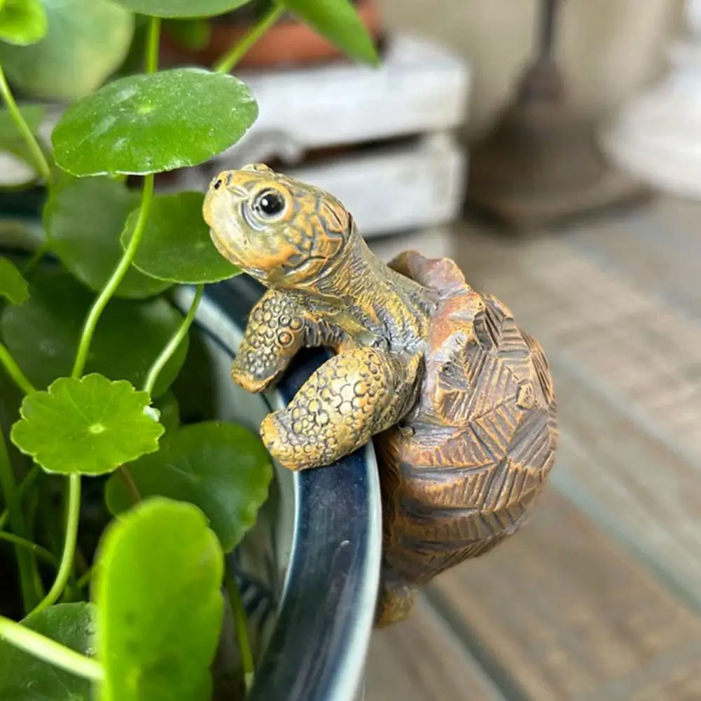 Fishing Turtle Hanging Turtle  - Aquarium Planting Ideas avaliação e preço