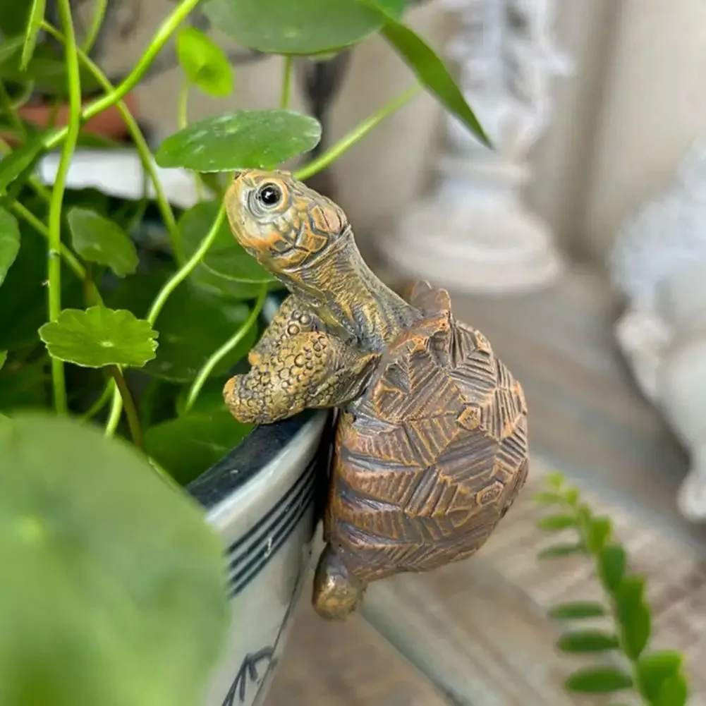 Fishing Turtle Hanging Turtle  - Aquarium Planting Ideas avaliação e preço