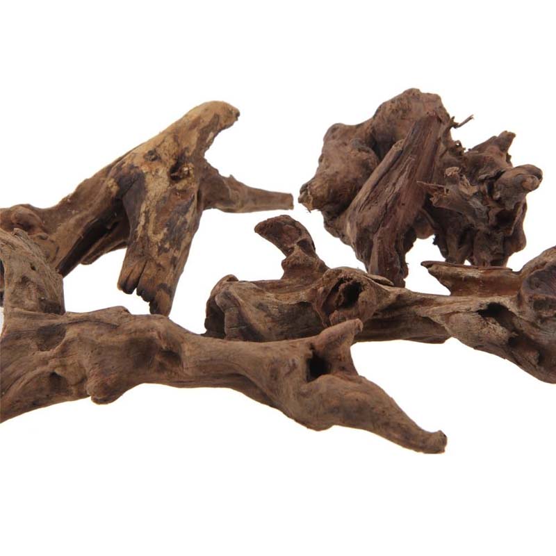 1PC Natural Aquarium Sinkable  - Planted Aquarium With Driftwood avaliação e preço