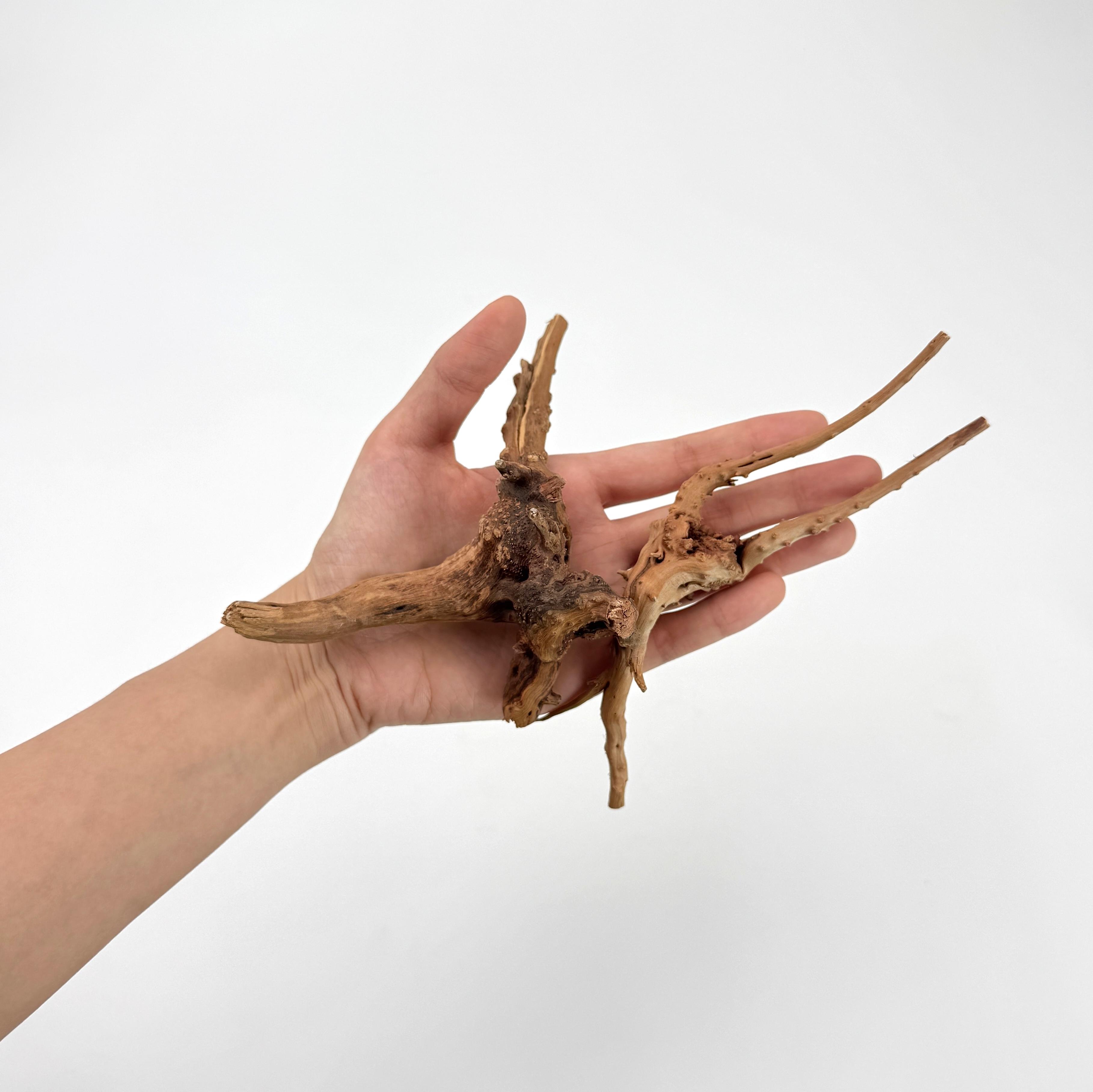 2 pcs Natural Small Spiderwood - Planted Aquarium With Driftwood avaliação e preço