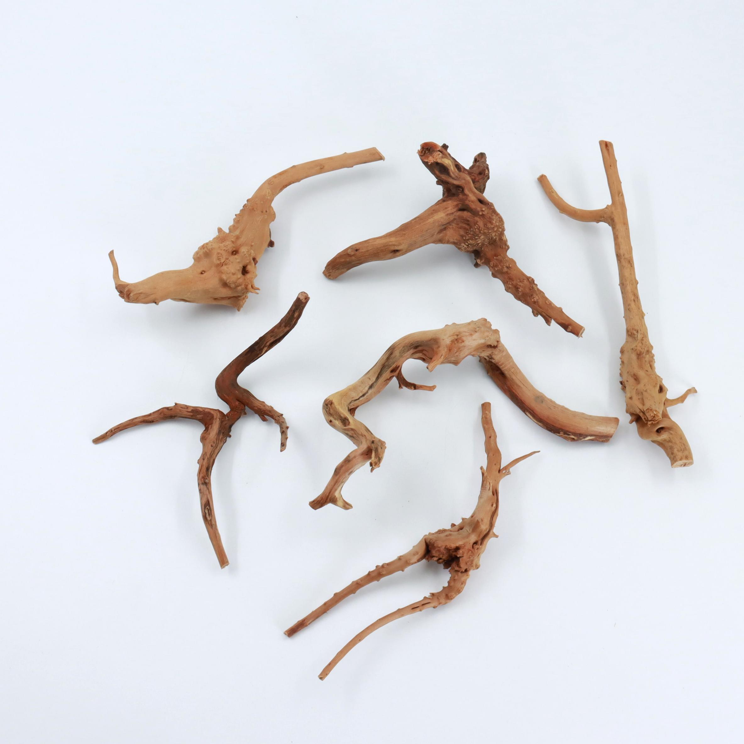2 pcs Natural Small Spiderwood - Planted Aquarium With Driftwood avaliação e preço