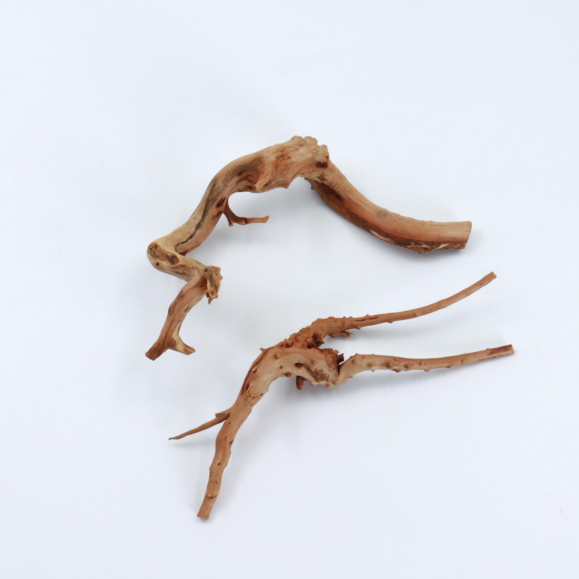 2 pcs Natural Small Spiderwood - Planted Aquarium With Driftwood avaliação e preço