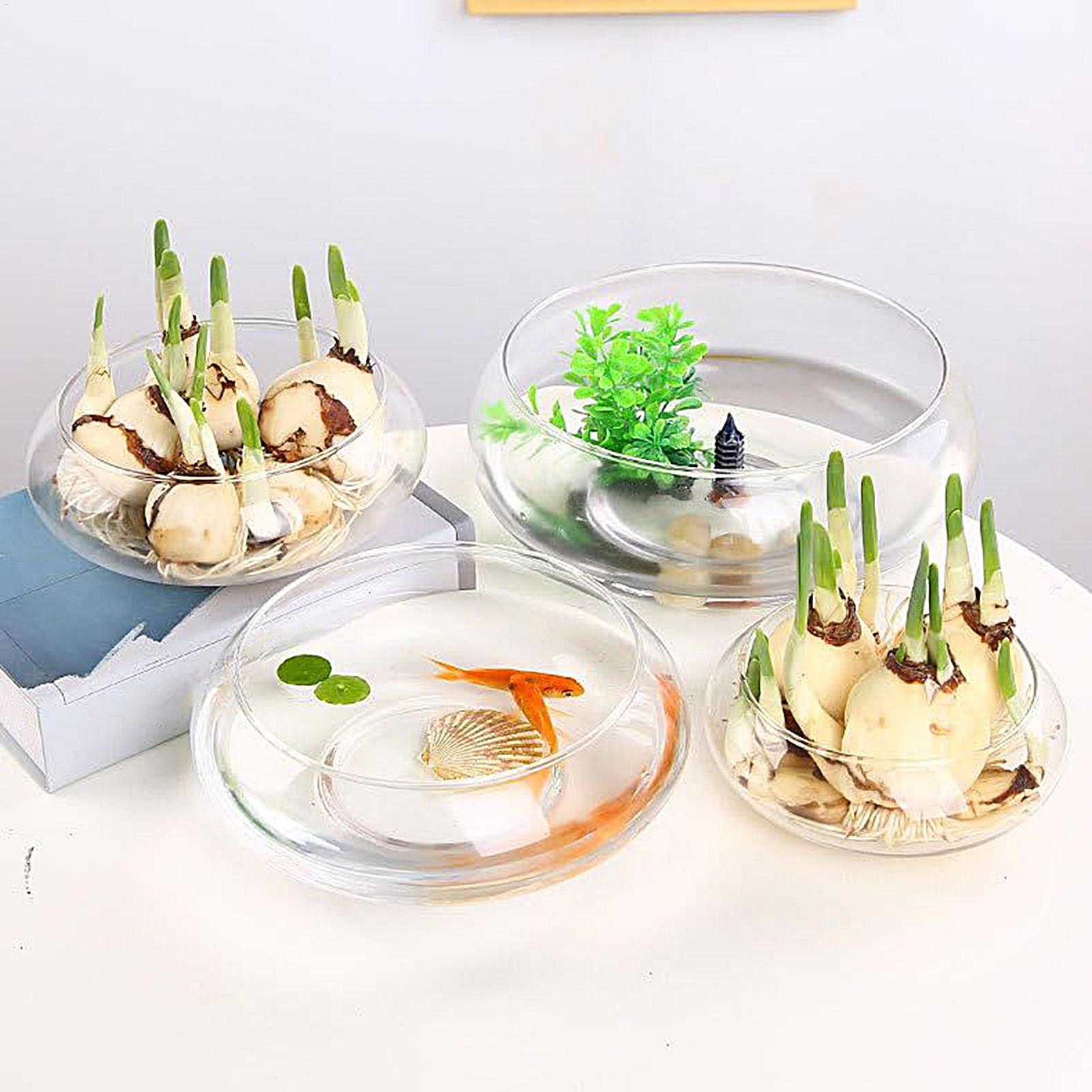 Fish Glass Bowl Glass Large Hy - Aquarium Planting avaliação e preço