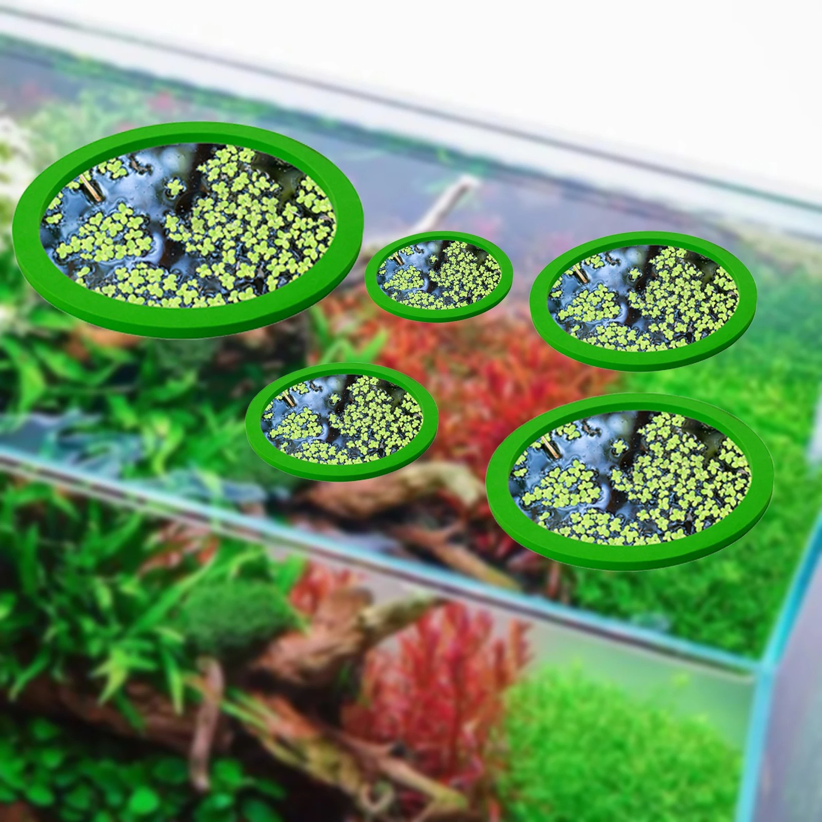 5Pcs EVA Fish Feeding Ring Aqu - Aquarium Planting Ideas avaliação e preço