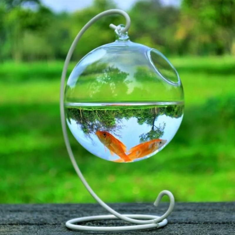 Transparent Spherical Glass Ha - Aquarium Planted Fish Tank avaliação e preço