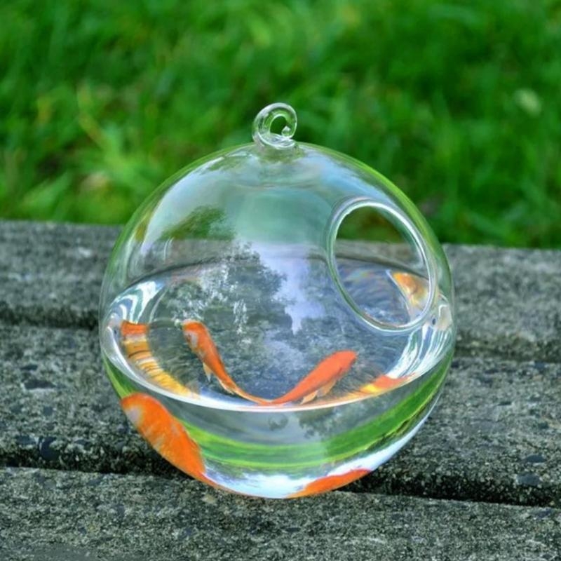Transparent Spherical Glass Ha - Aquarium Planted Fish Tank avaliação e preço