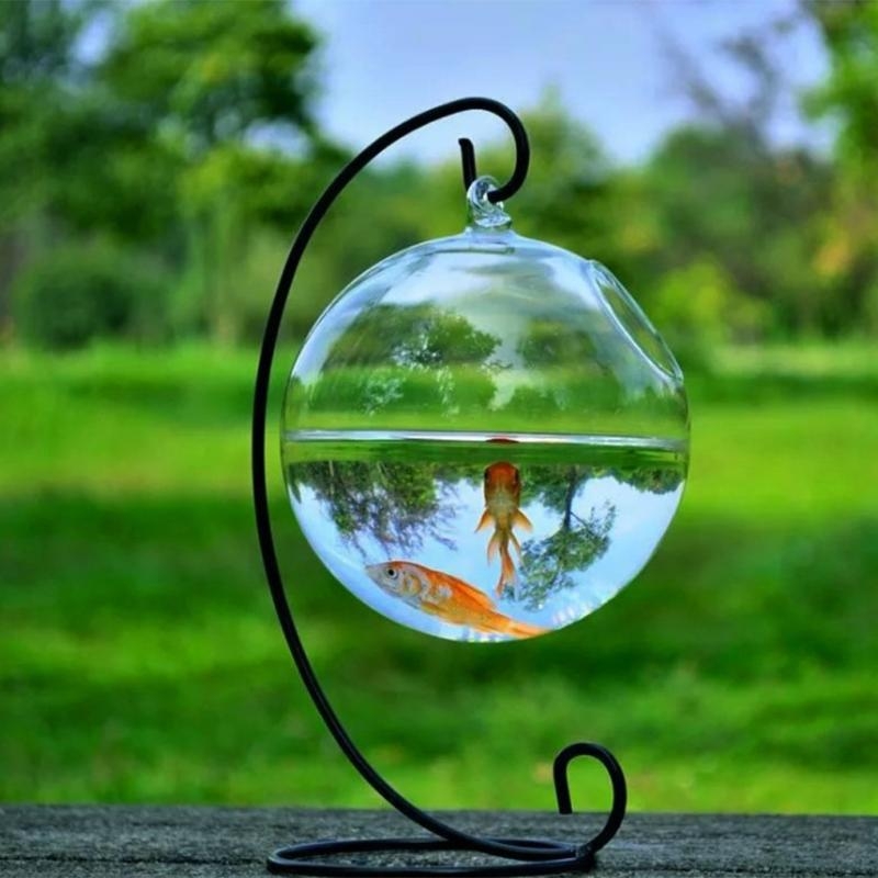 Transparent Spherical Glass Ha - Aquarium Planted Fish Tank avaliação e preço