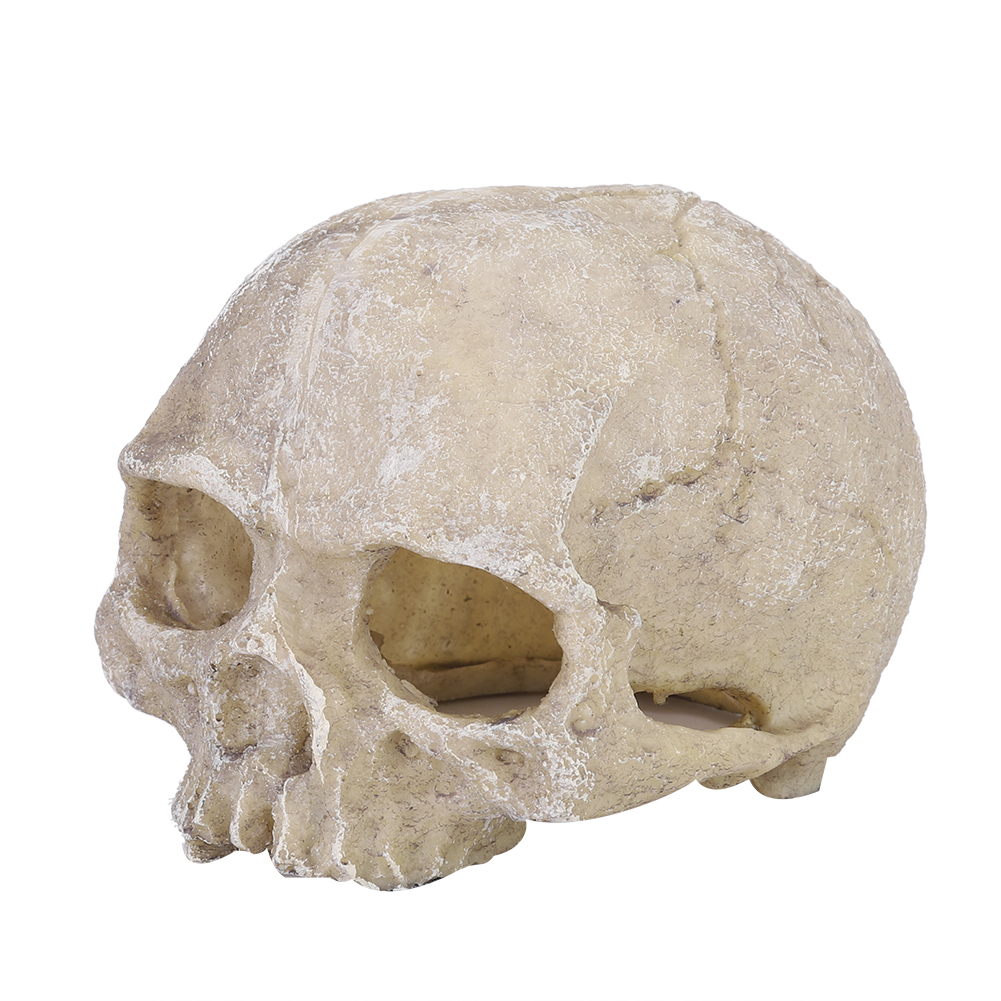 Resin Simulated Head Bone Skul - Aquarium Planting Ideas avaliação e preço