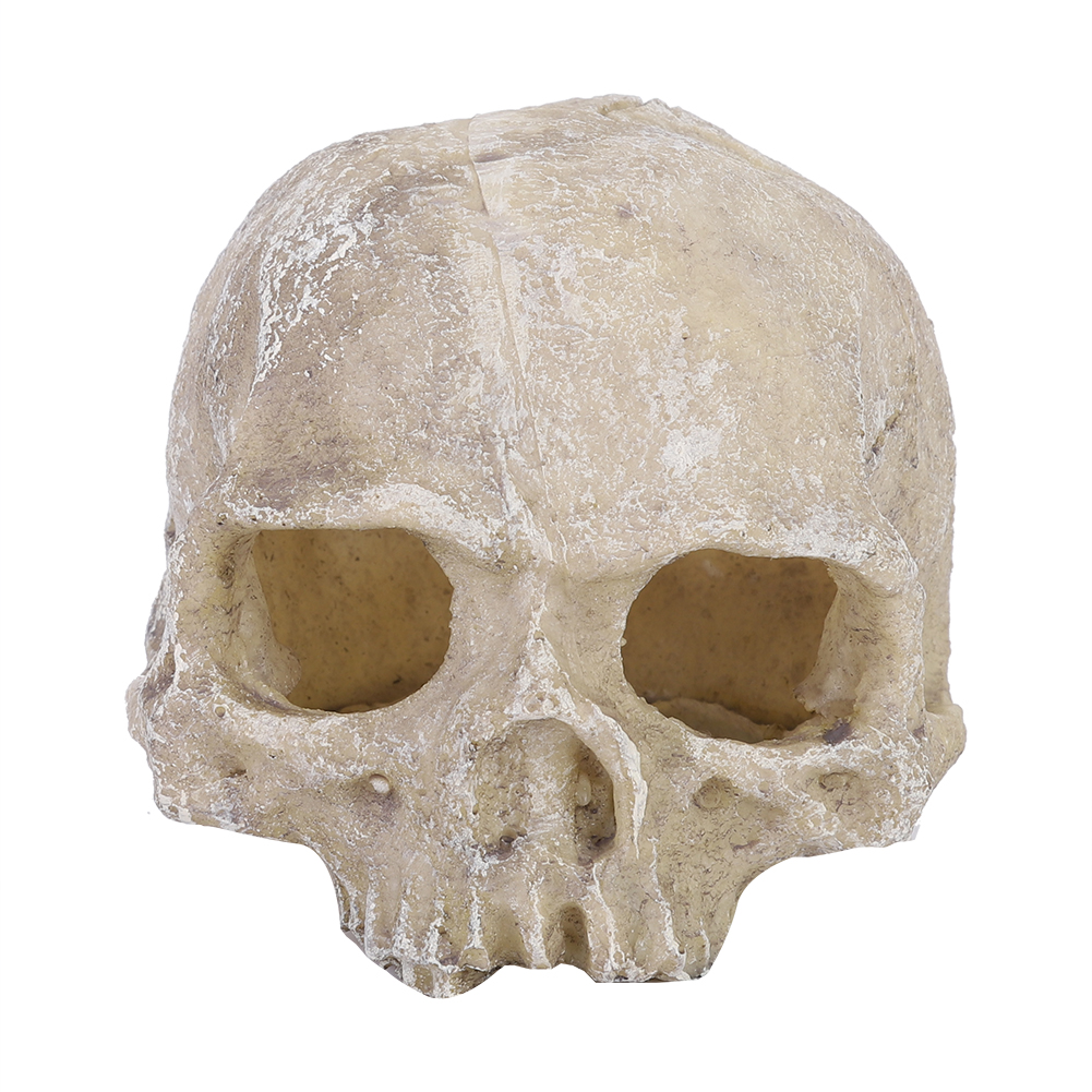 Resin Simulated Head Bone Skul - Aquarium Planting Ideas avaliação e preço