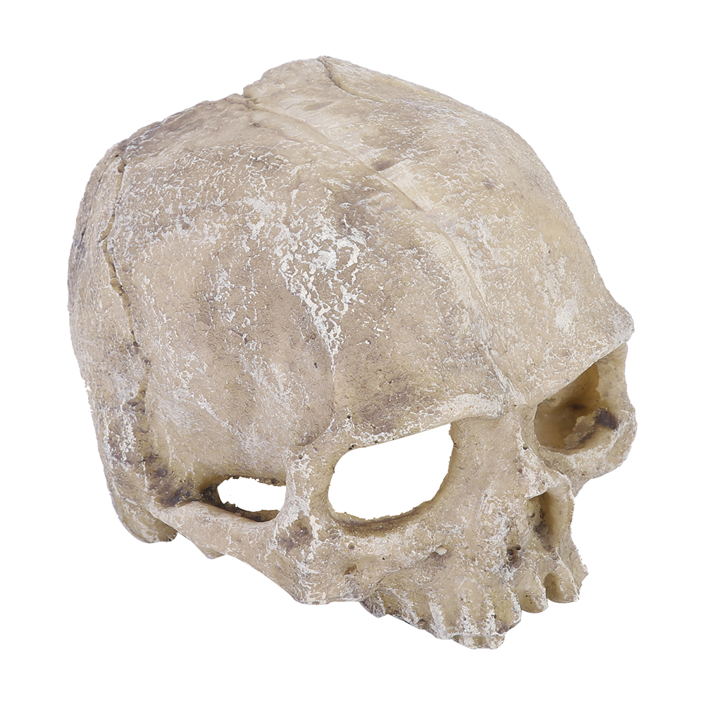 Resin Simulated Head Bone Skul - Aquarium Planting Ideas avaliação e preço