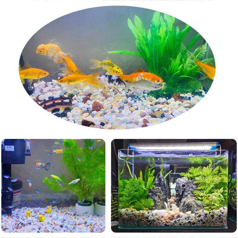 Natural Gravel Stone 200~1000g - Aquarium Planted Sand avaliação e preço