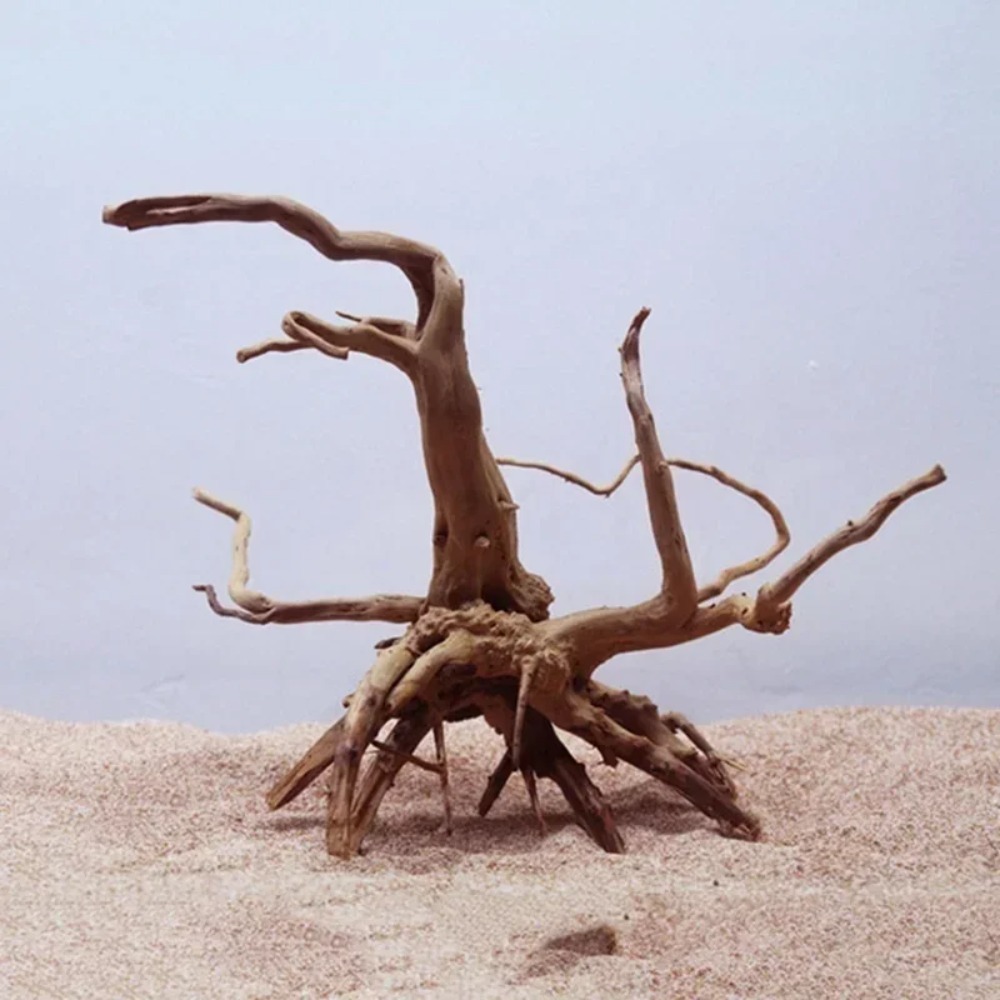Natural Tree Trunk Driftwood A - Planted Aquarium With Driftwood avaliação e preço